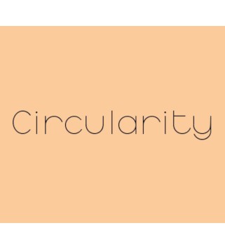 Circularity Steam Key GLOBAL